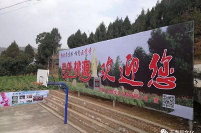 新春年味濃，相約正覺寺