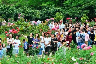 沸騰的小山村——伏虎寺外桃源，令人震撼的美！
